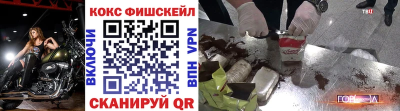 Cocaine Fish Scale  ОМГ ОМГ ССЫЛКА  Северск  купить наркотик 