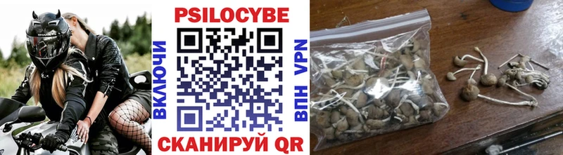 Псилоцибиновые грибы Magic Shrooms Северск